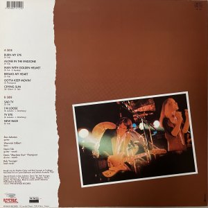 NEW RACE : The Second Wave LP