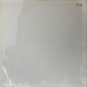 SMITH PATTI : Teenage Perversity & Ships In The Night LP