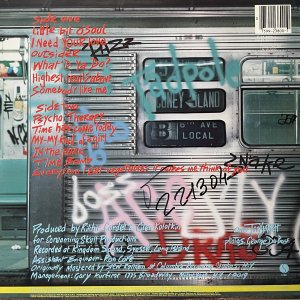 RAMONES : Subterranean Jungle LP