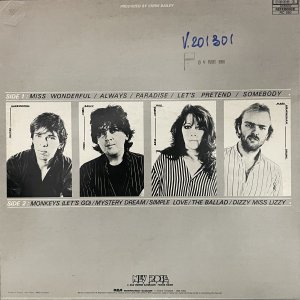 SAINTS (The) : The Monkey Puzzle LP