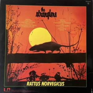 STRANGLERS (The) : IV (Rattus Norvegicus) LP