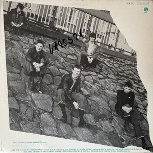 UNDERTONES (The) : The Undertones LP