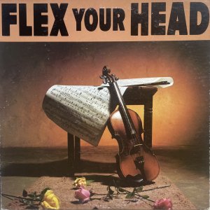 V/A Flex Your Head : Flex Your Head LP