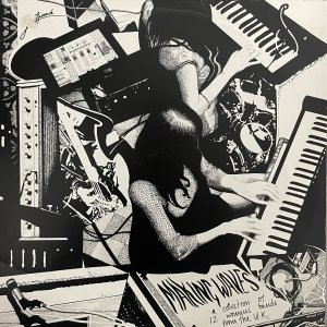 V/A Making Waves – A Collection Of 12 Womens Bands From The UK : Making Waves – A Collection Of 12 Womens Bands From The UK LP