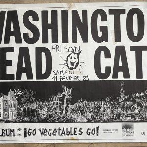 WASHINGTON DEAD CATS – Promo Poster For Swiss Concert (1989)