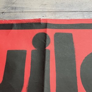 WILD CHILD – PROMO Poster (1983)