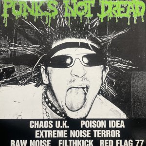 V/A Punk’s Not Dread LP