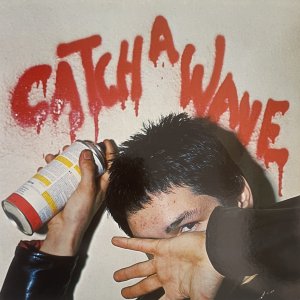 V/A Catch A Wave DOUBLE 10inch / 25 cm