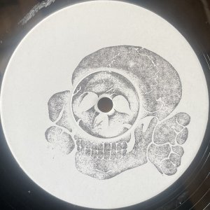 TOTENKOPF – Souviens-toi LP