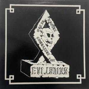 EVIL SKINS – Une Force, Une Cause, Un Combat LP