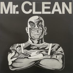 SKINKORPS – Mr. Clean LP