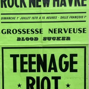 TEENAGE RIOT / BLOOD SUCKER / GROSSESSE NERVEUSE – Poster (1979)