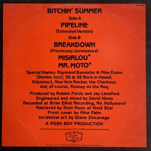 AGENT ORANGE – Bitchin’ Summer MAXI