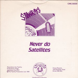 STINGRAYS (The) – Never Do / Satellites